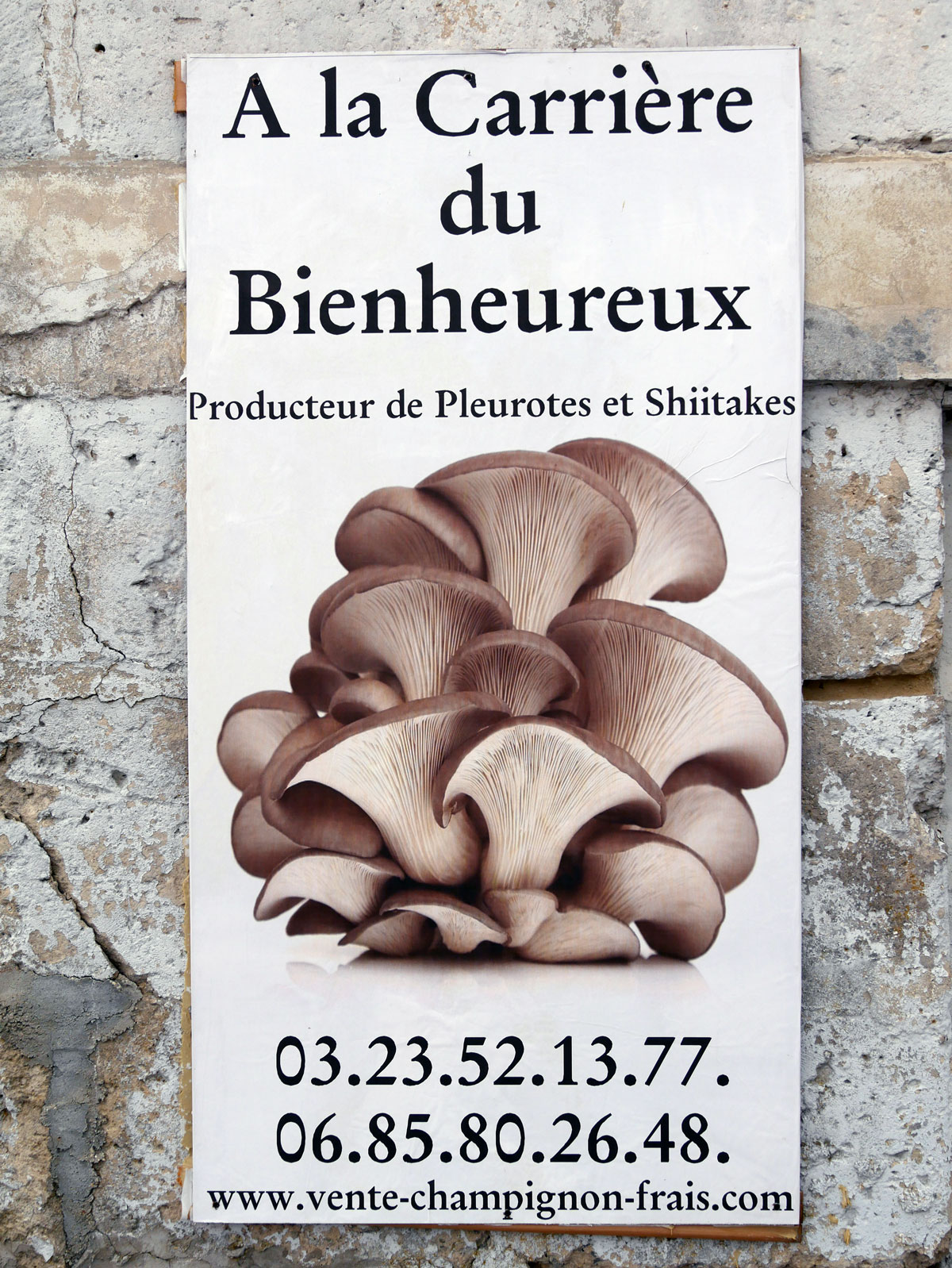 A-la-carrière-du-bienheureux-achat-vente-champignons-frais-bio